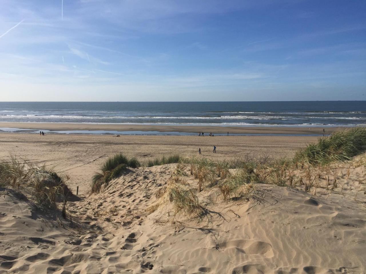 Duynsandt Zandvoort Kültér fotó